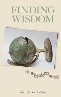 bokomslag Finding Wisdom in a Broken World