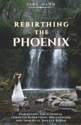 bokomslag Rebirthing the Phoenix