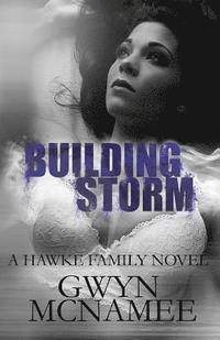 bokomslag Building Storm: (a Hawke Family Novel)