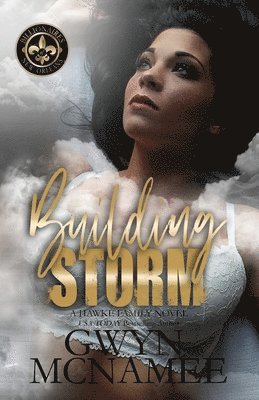 bokomslag Building Storm: (A Hawke Family Novel)