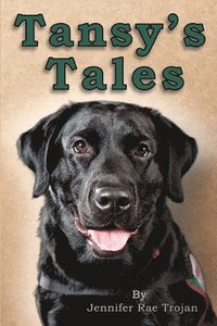 bokomslag Tansy's Tales