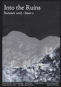 bokomslag Into the Ruins: Summer 2016