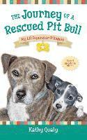 bokomslag The Journey of a Rescued Pit Bull: My Lil Superstar D'Angelo