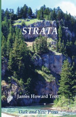 bokomslag Strata: Musings of a Rockhound