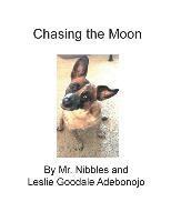 Chasing the Moon 1