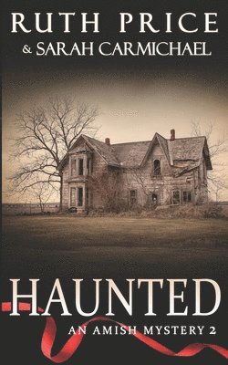 Amish Mysteries: Haunted 1