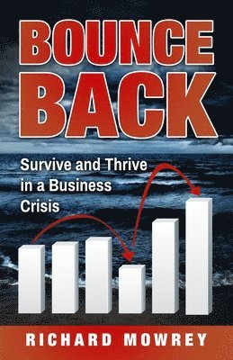 bokomslag Bounce Back: Survive and Thrive in a Business Crisis