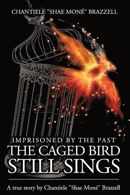 bokomslag Imprisoned By The Past...: The Caged Bird Still Sings.