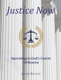 bokomslag Justice Now
