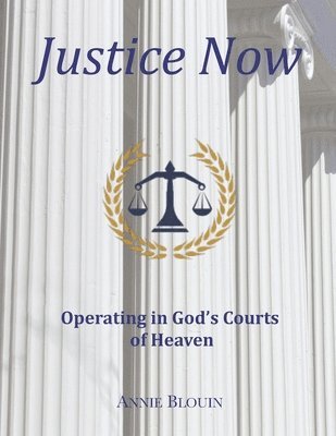 bokomslag Justice Now