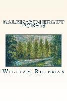 William Ruleman - Salzkammergut Poems, Häftad