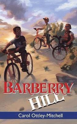 Carol Ottley-Mitchell - Barberry Hill, Häftad