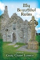 bokomslag My Beautiful Ruins