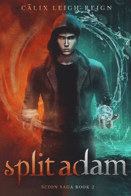 bokomslag Split Adam