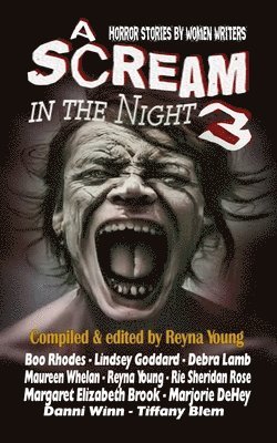 bokomslag A Scream in the Night 3