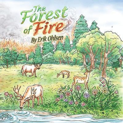 Ohlsen Erik, Erik Ohlsen - Forest Fire, Häftad