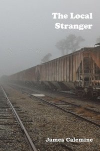 bokomslag The Local Stranger