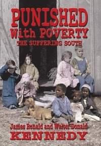 bokomslag Punished With Poverty