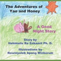 bokomslag Adventures of Yao and Honey