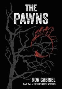 bokomslag Pawns