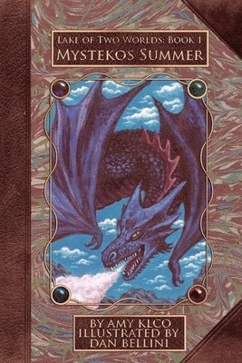 Amy Klco - Mystekos Summer, Häftad