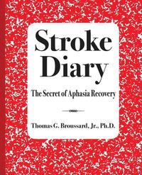 bokomslag Stroke Diary