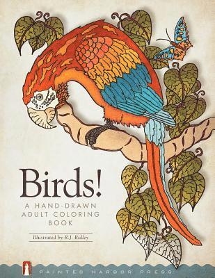 Birds!: A Hand-Drawn Adult Coloring Book 1