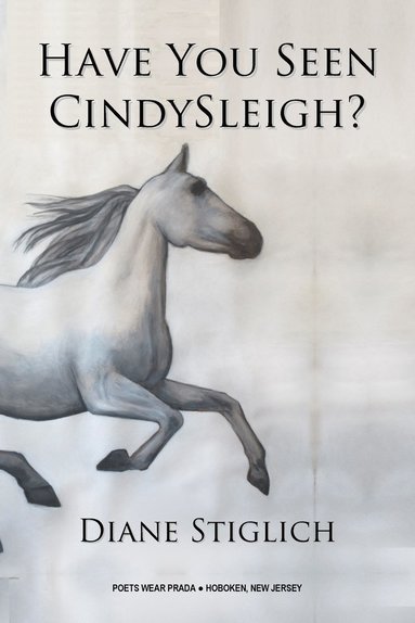 Diane Stiglich - Have You Seen CindySleigh?, Häftad