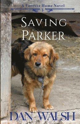 Dan Walsh - Saving Parker, Häftad