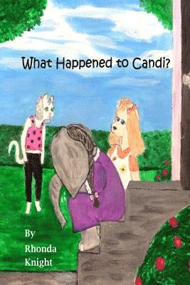 Rhonda Knight - What Happened to Candi?, Häftad