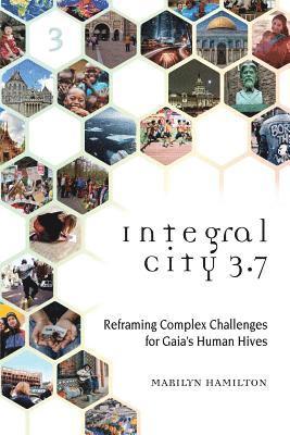 bokomslag Integral City 3.7