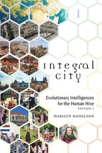 bokomslag Integral City