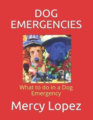 bokomslag Dog Emergencies: What to do in a Dog Emergency