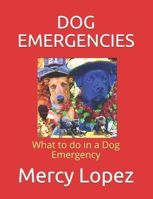 Mercedes Roberson, Mercy Lopez - Dog Emergencies: What to do in a Dog Emergency, Häftad
