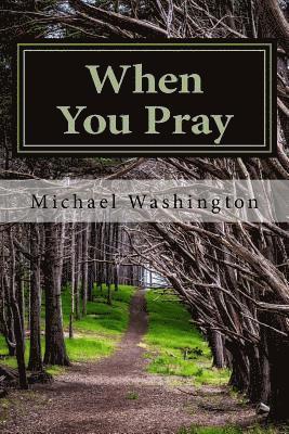 Michael Washington - When You Pray: Words for Searching Your Soul in Prayer, Häftad