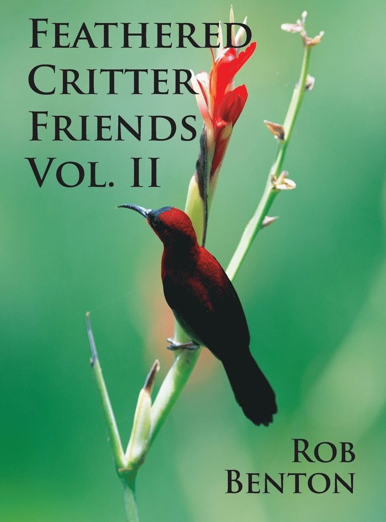 Feathered Critter Friends Vol. II 1