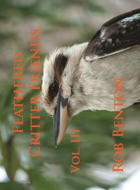 bokomslag Feathered Critter Friends Vol. III