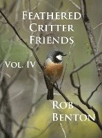 bokomslag Feathered Critter Friends Vol. IV