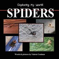 bokomslag Exploring My World: Spiders