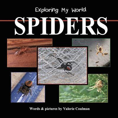 Exploring My World: Spiders 1