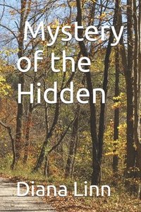 bokomslag Mystery of the Hidden