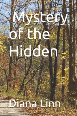 bokomslag Mystery of the Hidden