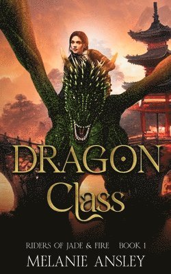 Dragon Class 1