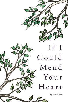 Mary Farr - If I Could Mend Your Heart, Häftad