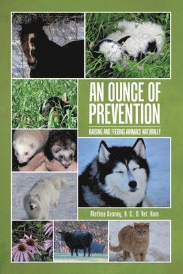 B S D Vet Hom Kenney, B. S. D. Vet Hom Kenney, Alethea Kenney, B. S., D. Vet. Hom, B. S. D. Hom Alethea Kenney - Ounce of Prevention, Häftad
