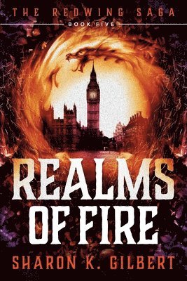 bokomslag Realms of Fire