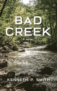 bokomslag Bad Creek