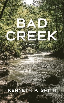 bokomslag Bad Creek