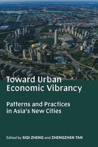 bokomslag Toward Urban Economic Vibrancy
