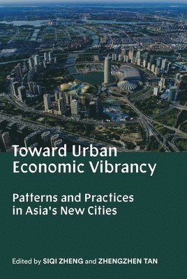 Toward Urban Economic Vibrancy 1